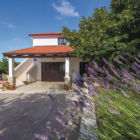 Apartment Pazin 10 Katun Lindarski Exterior foto